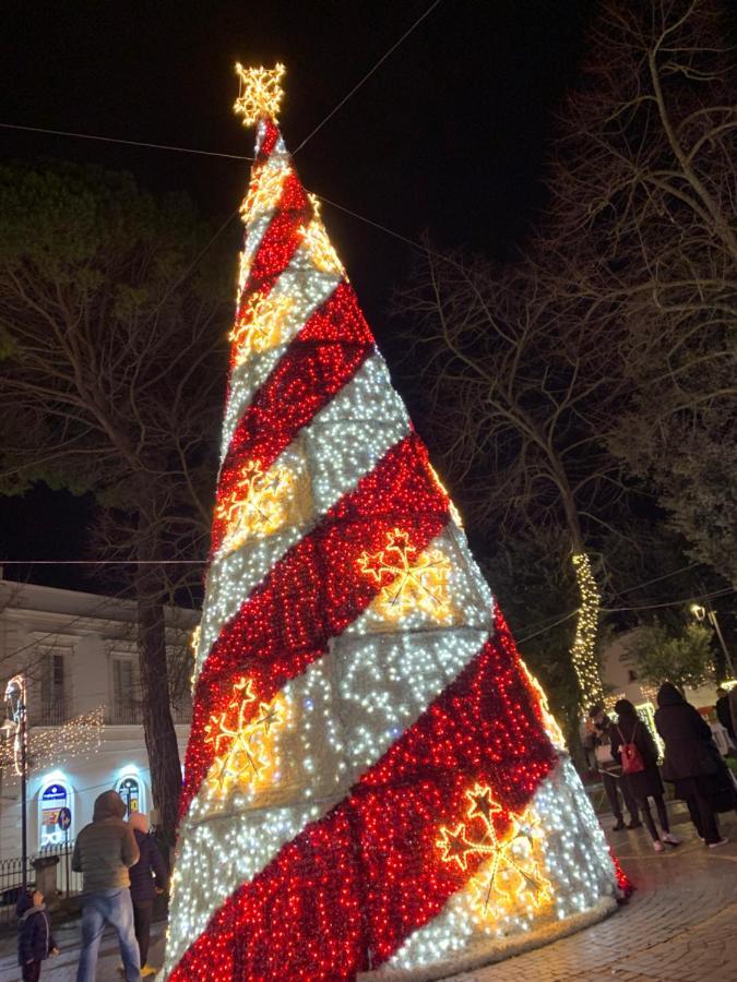 Impressioni In Valle D'Itria Martina Franca Exteriér fotografie